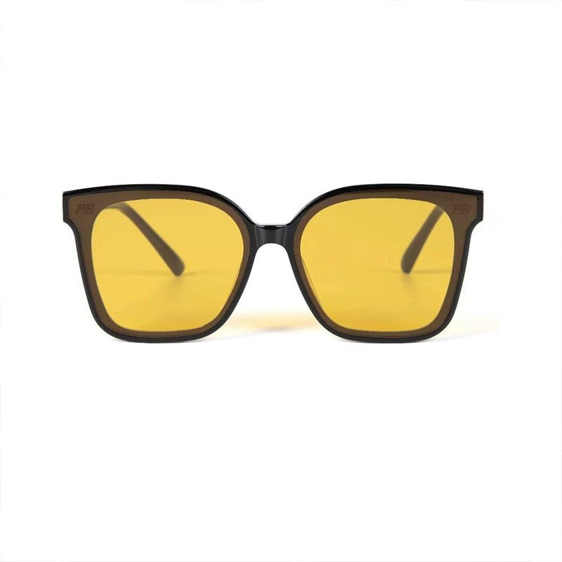 Classic black frame sunglasses - Vera Lumina