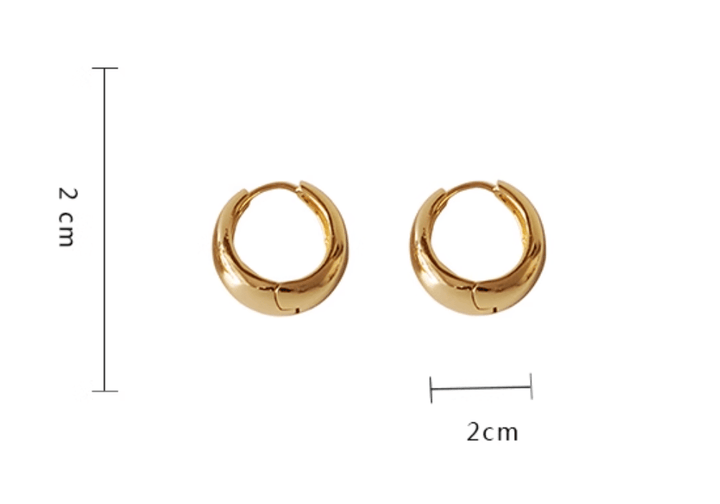 Minimalist shiny earring - Vera Lumina