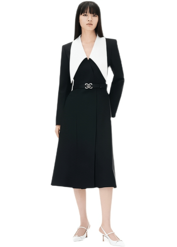 peak - necked collar dress - Vera Lumina