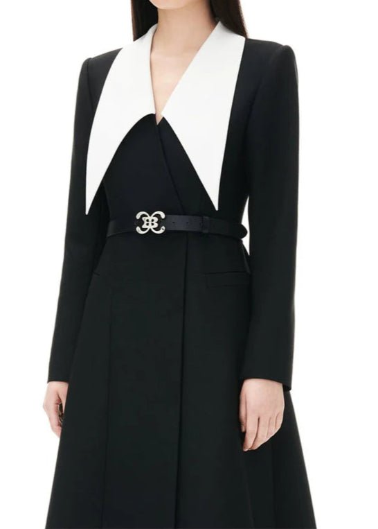 peak - necked collar dress - Vera Lumina