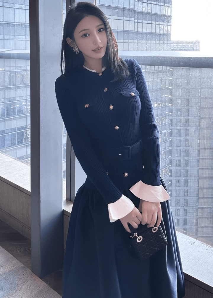 バイカラーパフスリーブバルーンシルエットドレス - Vera Lumina