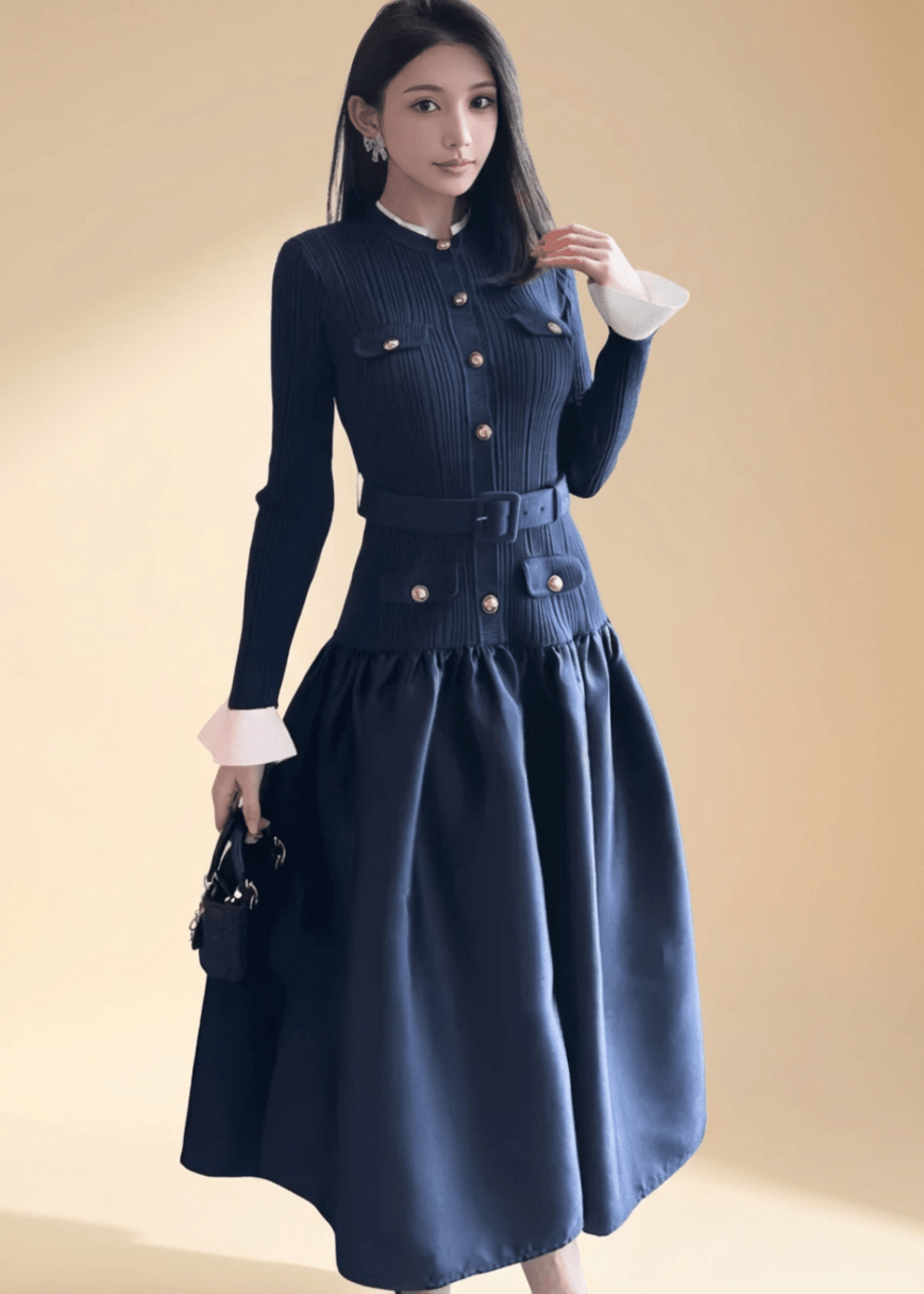 バイカラーパフスリーブバルーンシルエットドレス - Vera Lumina