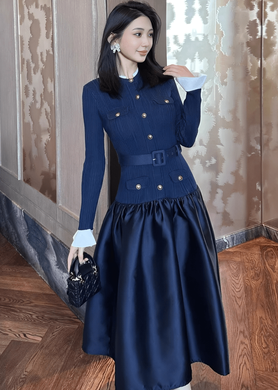 バイカラーパフスリーブバルーンシルエットドレス - Vera Lumina