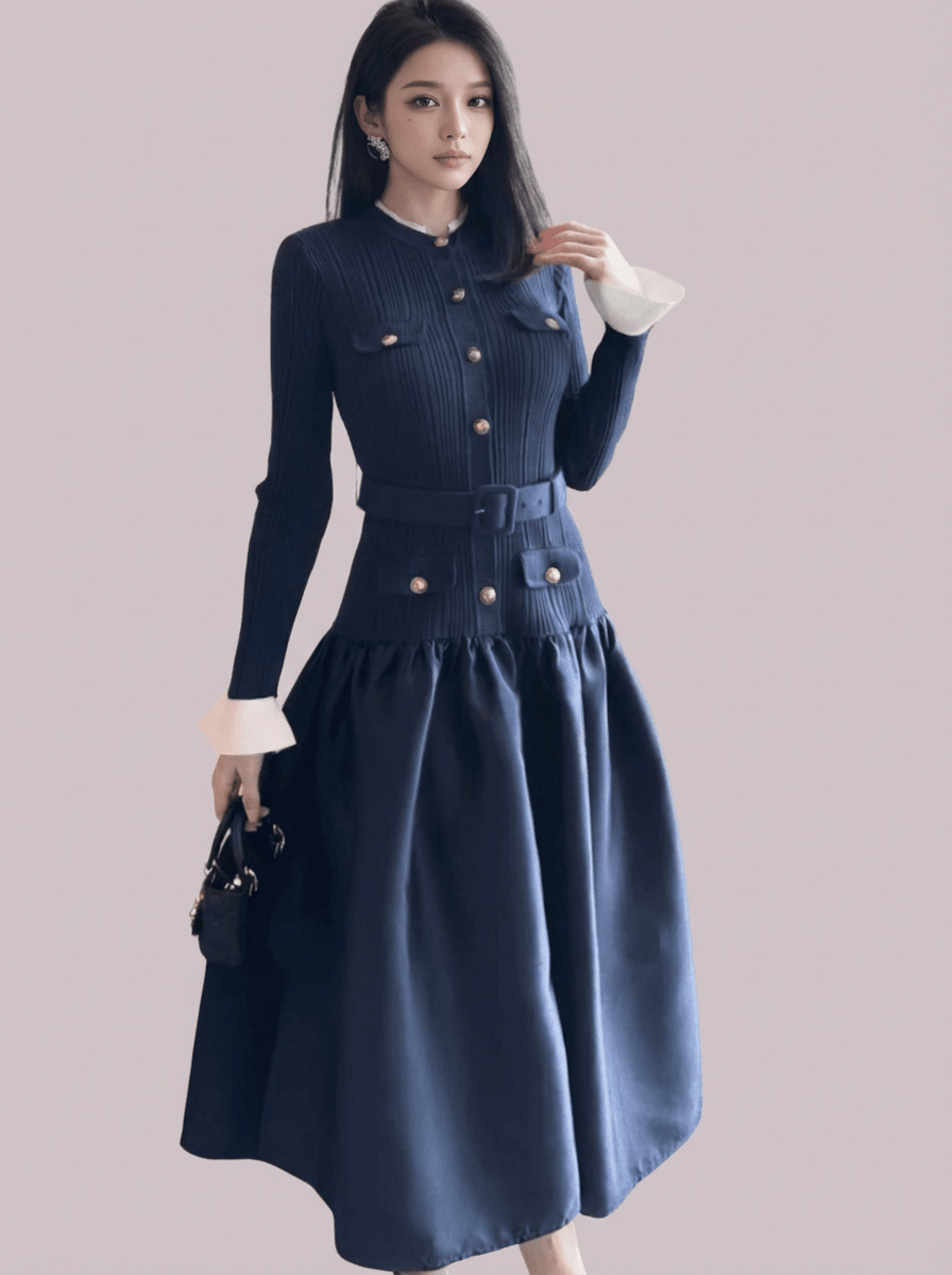 バイカラーパフスリーブバルーンシルエットドレス - Vera Lumina