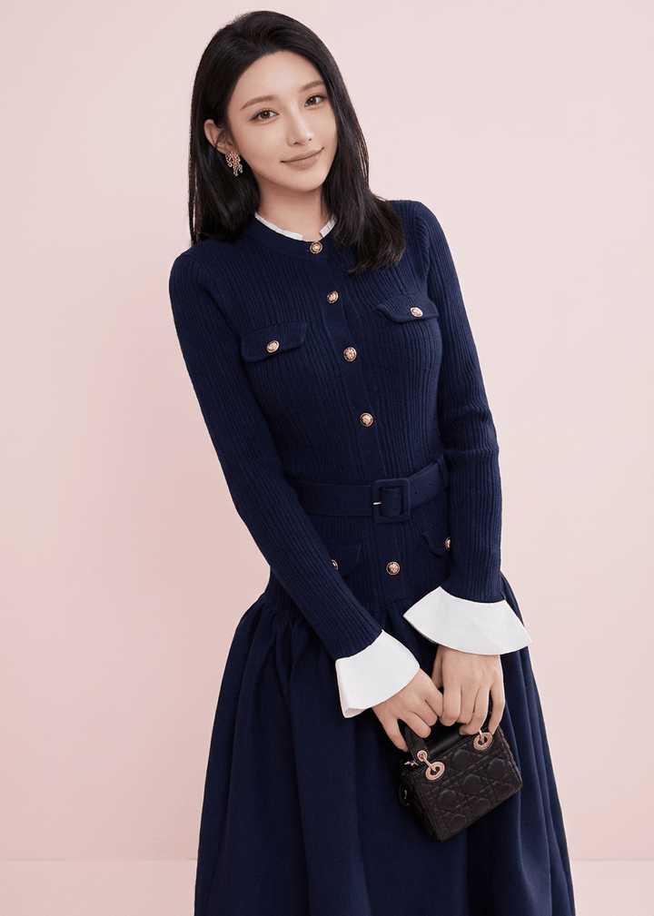 バイカラーパフスリーブバルーンシルエットドレス - Vera Lumina