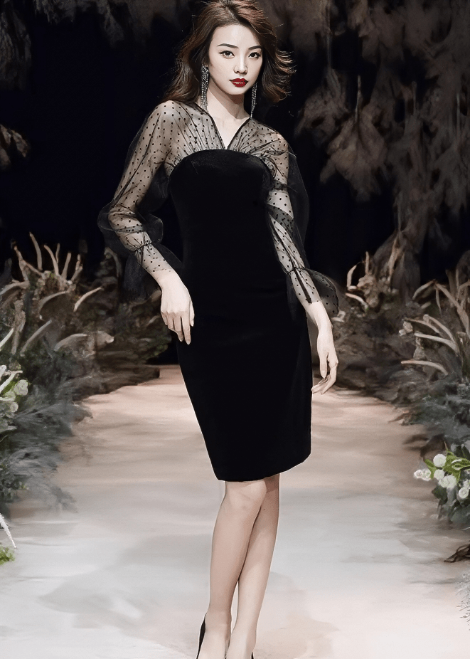 ドットチュールスリーブベルベットドレス - Vera Lumina