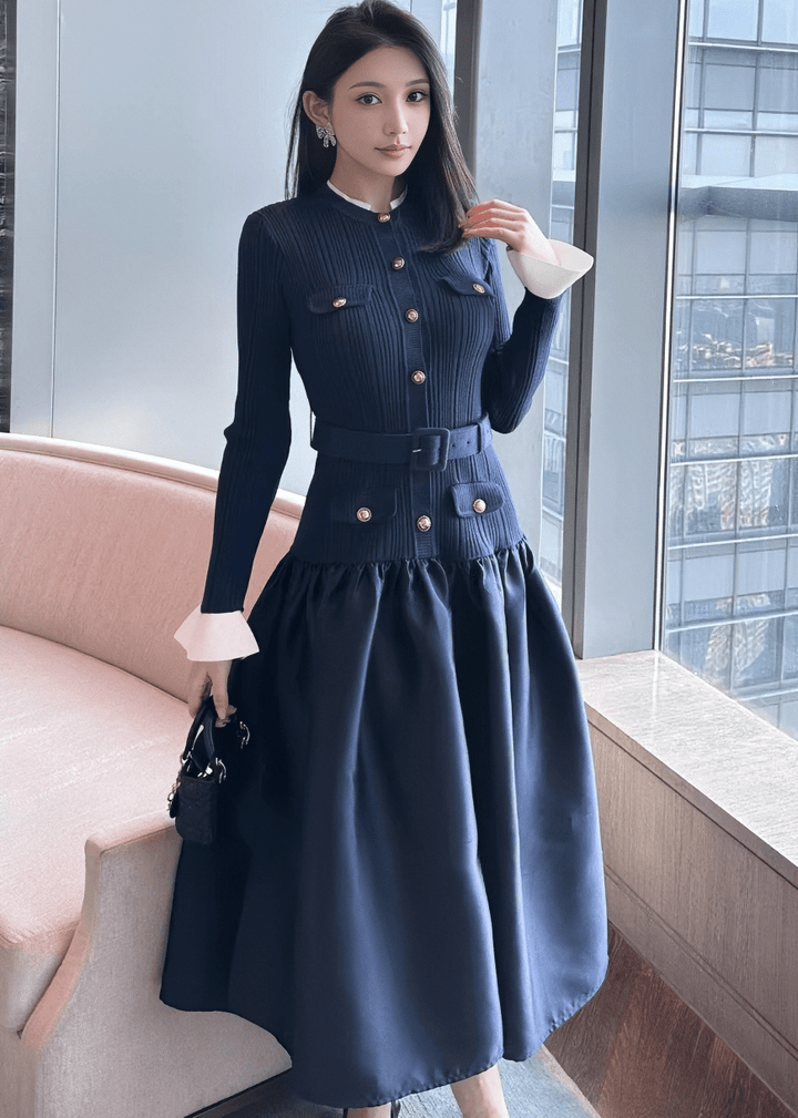 バイカラーパフスリーブバルーンシルエットドレス - Vera Lumina