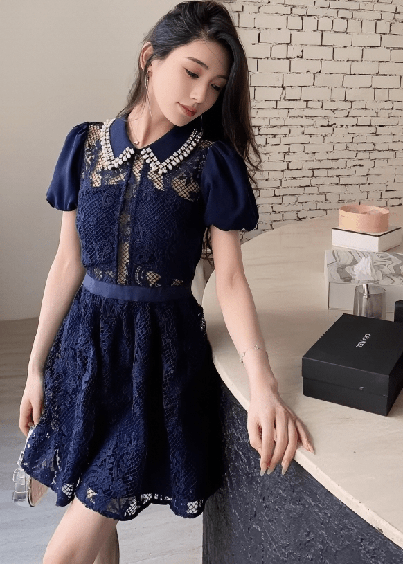 ビジューカラーシアーレースパフスリーブドレス - Vera Lumina