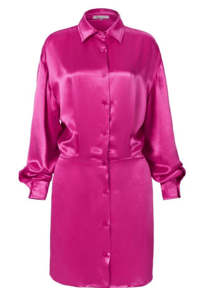 silky mini rose shirt dress - Vera Lumina